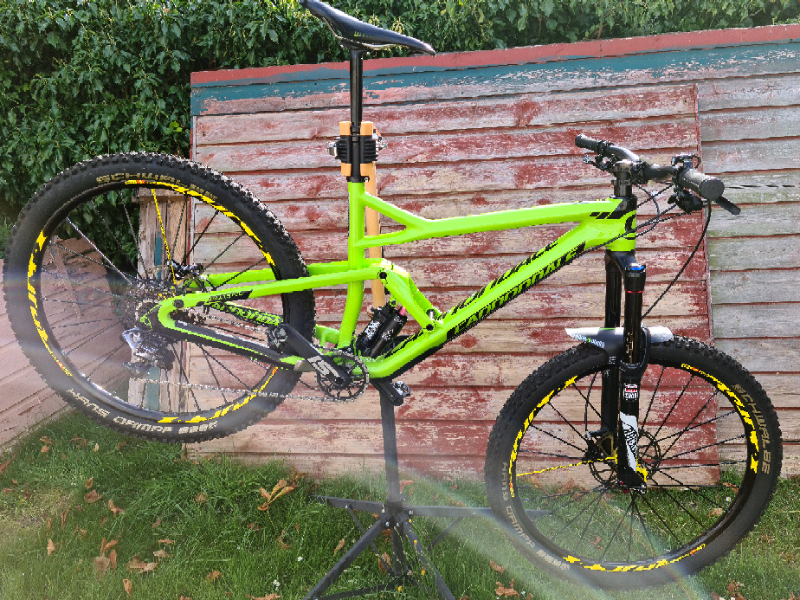 cannondale jekyll frame for sale